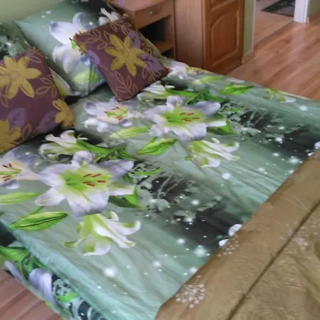 アパート Apartament Zielony